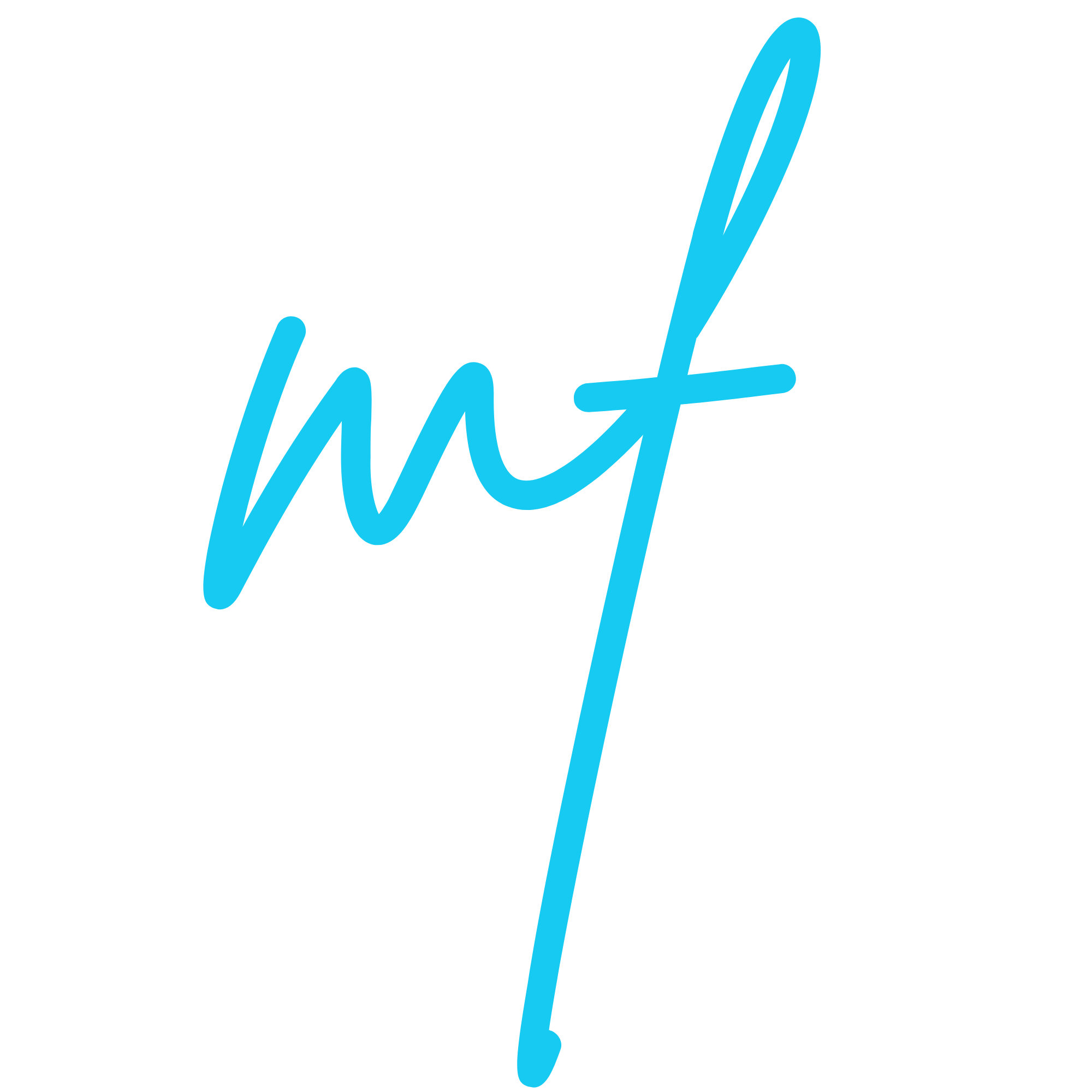 manuelfons.com
